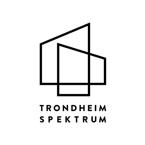 Trondheim Spektrum Eiendom AS logo