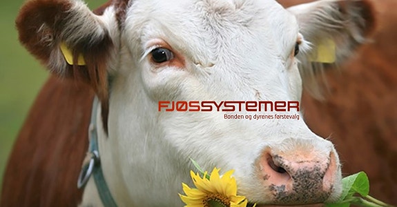 Bilde 2 av 7 i jobbannonse-galleriet