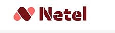 Netel AS logo