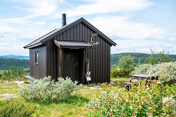 Foto: Ingvild Vestheim