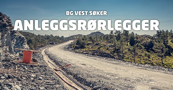 Bilde 1 av 1 i jobbannonse-galleriet