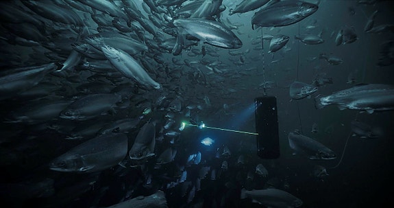 Bilde 1 av 10 i jobbannonse-galleriet