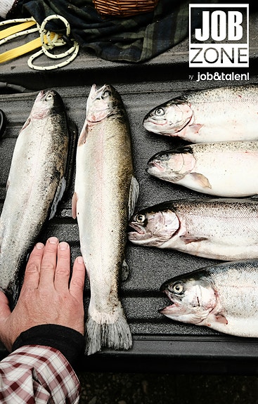 Bilde 1 av 2 i jobbannonse-galleriet