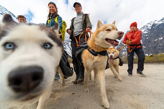 Bilde 10 av 10 i jobbannonse-galleriet