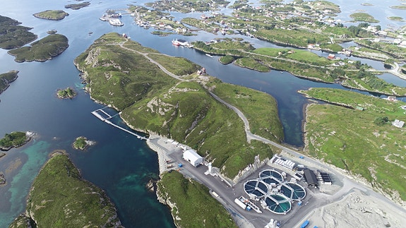 Bilde 1 av 5 i jobbannonse-galleriet