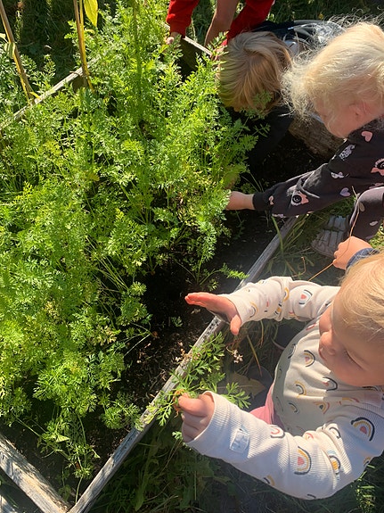 Bilde 5 av 9 i jobbannonse-galleriet