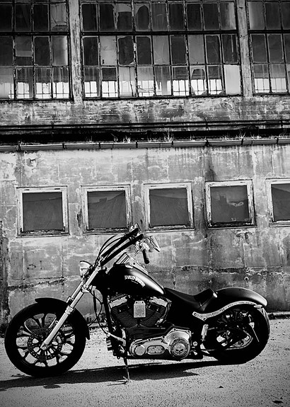 Harley-Davidson FXST Softail Standard / Custom 3 of 19