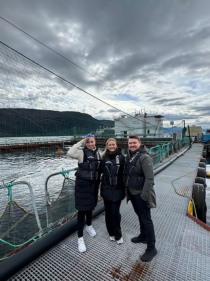 Bilde 2 av 10 i jobbannonse-galleriet