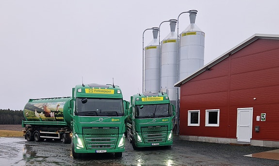 Bilde 1 av 3 i jobbannonse-galleriet