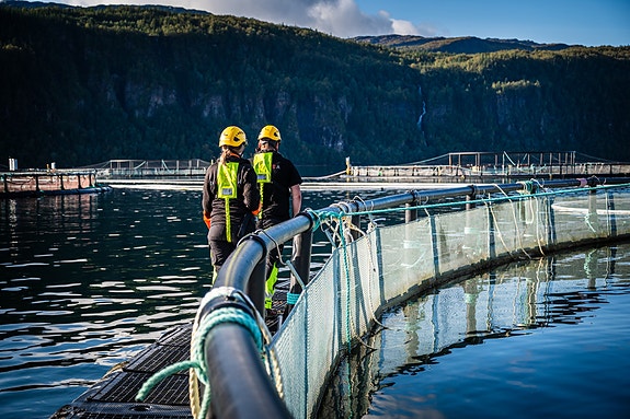 Bilde 1 av 2 i jobbannonse-galleriet