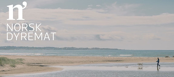 Bilde 1 av 2 i jobbannonse-galleriet