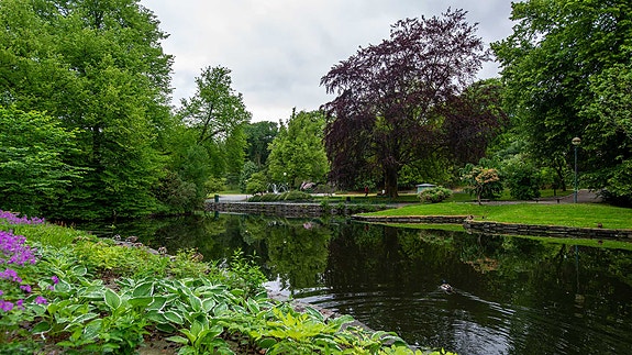 Bilde 7 av 9 i jobbannonse-galleriet