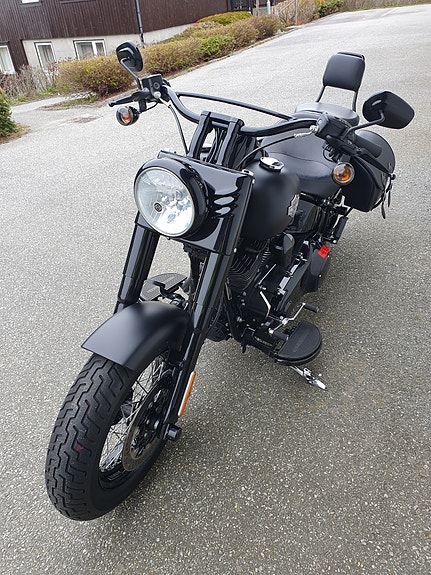 Harley-Davidson FLSS Softail Slim S 3 of 30