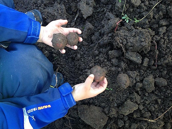 Bilde 4 av 10 i jobbannonse-galleriet