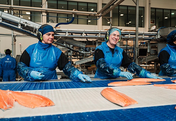 Bilde 4 av 4 i jobbannonse-galleriet