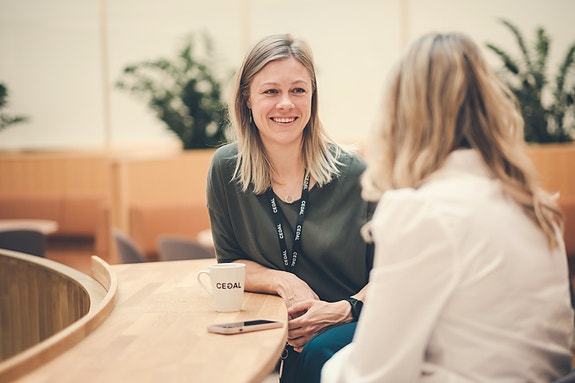 Bilde 2 av 6 i jobbannonse-galleriet