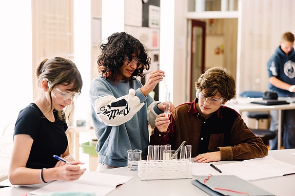 Bilde 2 av 5 i jobbannonse-galleriet