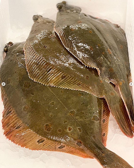 Bilde 6 av 6 i jobbannonse-galleriet