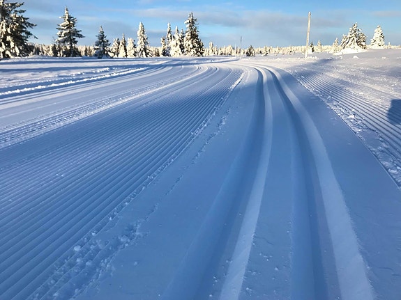 Bilde 3 av 3 i jobbannonse-galleriet
