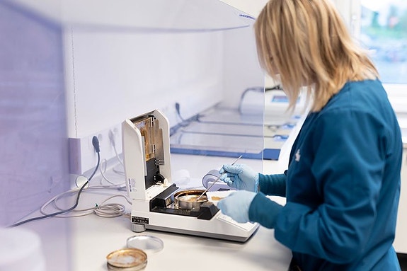 Bilde 3 av 3 i jobbannonse-galleriet