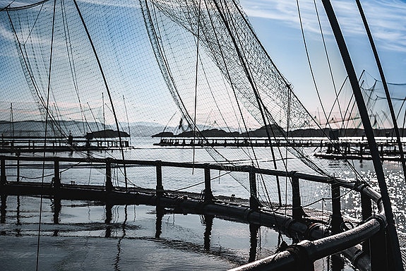 Bilde 3 av 8 i jobbannonse-galleriet