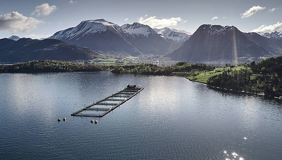 Bilde 3 av 6 i jobbannonse-galleriet