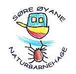 Søre Øyane naturbarnehage SA logo