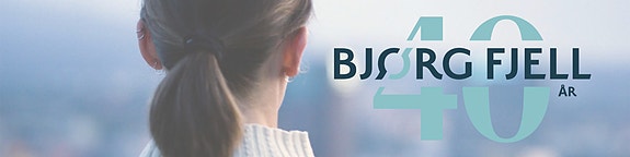 Bilde 1 av 4 i jobbannonse-galleriet