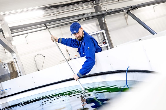 Bilde 1 av 1 i jobbannonse-galleriet