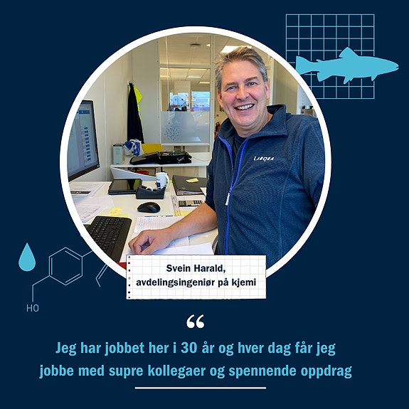 Bilde 6 av 6 i jobbannonse-galleriet