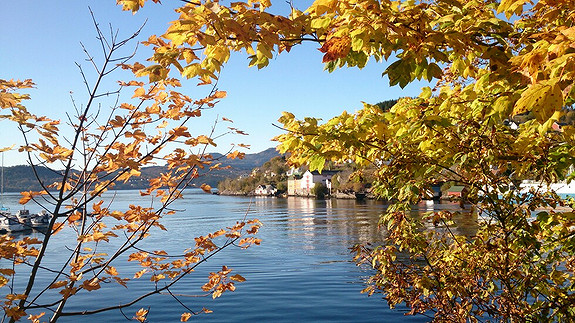 Haustfargar på Osterøy