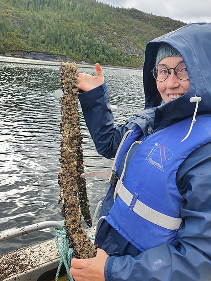 Bilde 2 av 2 i jobbannonse-galleriet