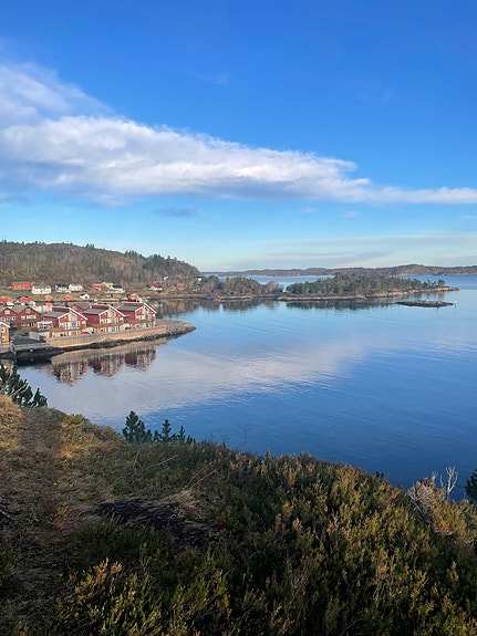 Bilde 1 av 1 i jobbannonse-galleriet
