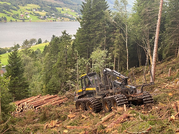 Bilde 5 av 6 i jobbannonse-galleriet