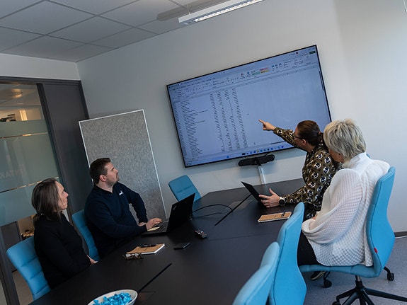 Bilde 2 av 5 i jobbannonse-galleriet