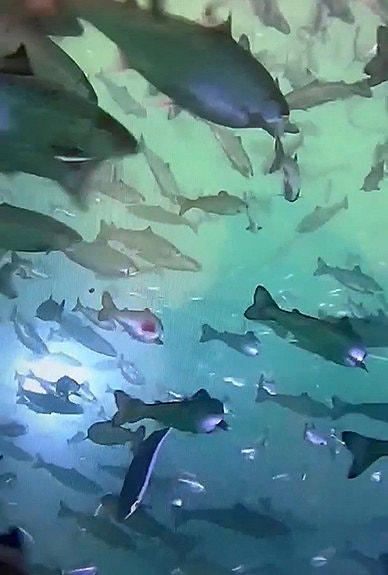 Bilde 1 av 6 i jobbannonse-galleriet