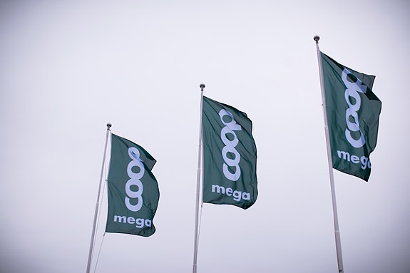 Bilde 1 av 1 i jobbannonse-galleriet