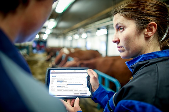 Bilde 5 av 8 i jobbannonse-galleriet