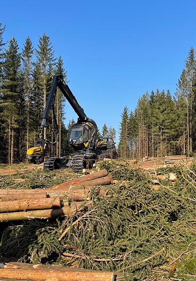 Bilde 1 av 5 i jobbannonse-galleriet