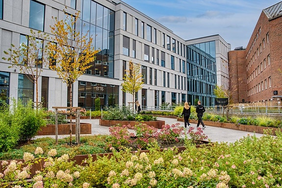 Bilde 1 av 2 i jobbannonse-galleriet