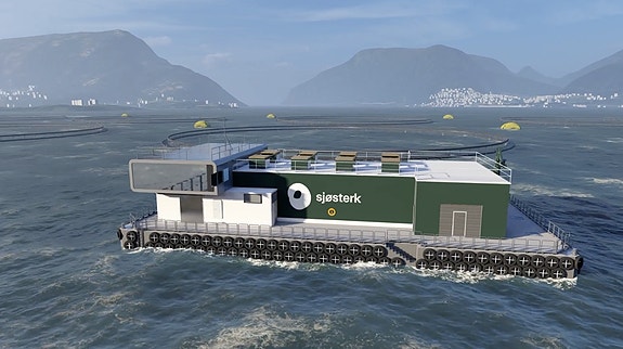 Bilde 4 av 5 i jobbannonse-galleriet