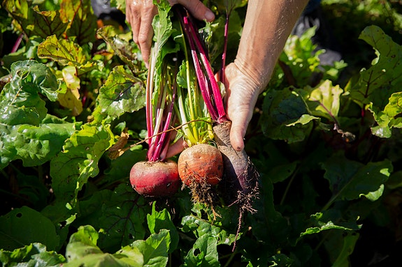 Bilde 3 av 3 i jobbannonse-galleriet