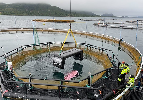 Bilde 6 av 9 i jobbannonse-galleriet