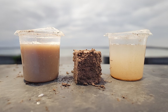 Avvanning av slam og fiskeensilasje