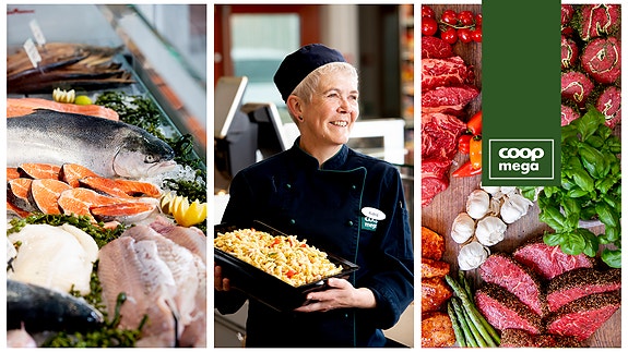 Bilde 1 av 1 i jobbannonse-galleriet