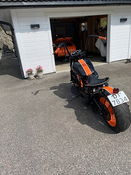 Harley-Davidson SOFTAIL CUSTOM 5 of 5