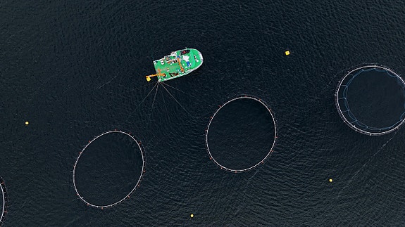 Bilde 1 av 1 i jobbannonse-galleriet