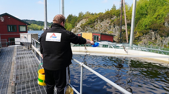 Bilde 3 av 5 i jobbannonse-galleriet