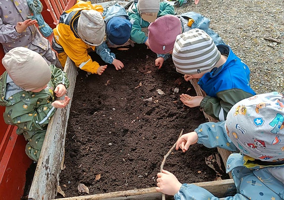 Vi dyrker egne grønnsaker