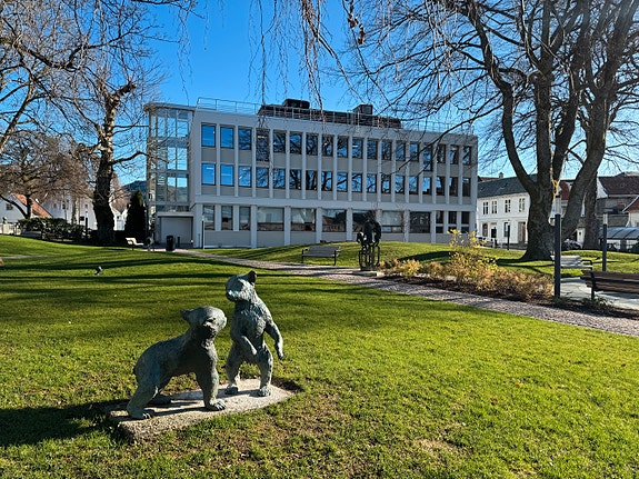 Bilde 3 av 6 i jobbannonse-galleriet